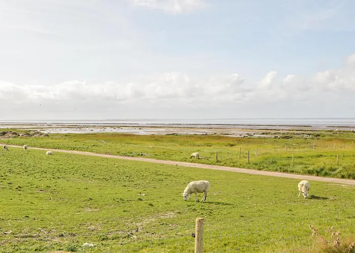 Vadehavsvej Hojer V Casa vacanze Højer
